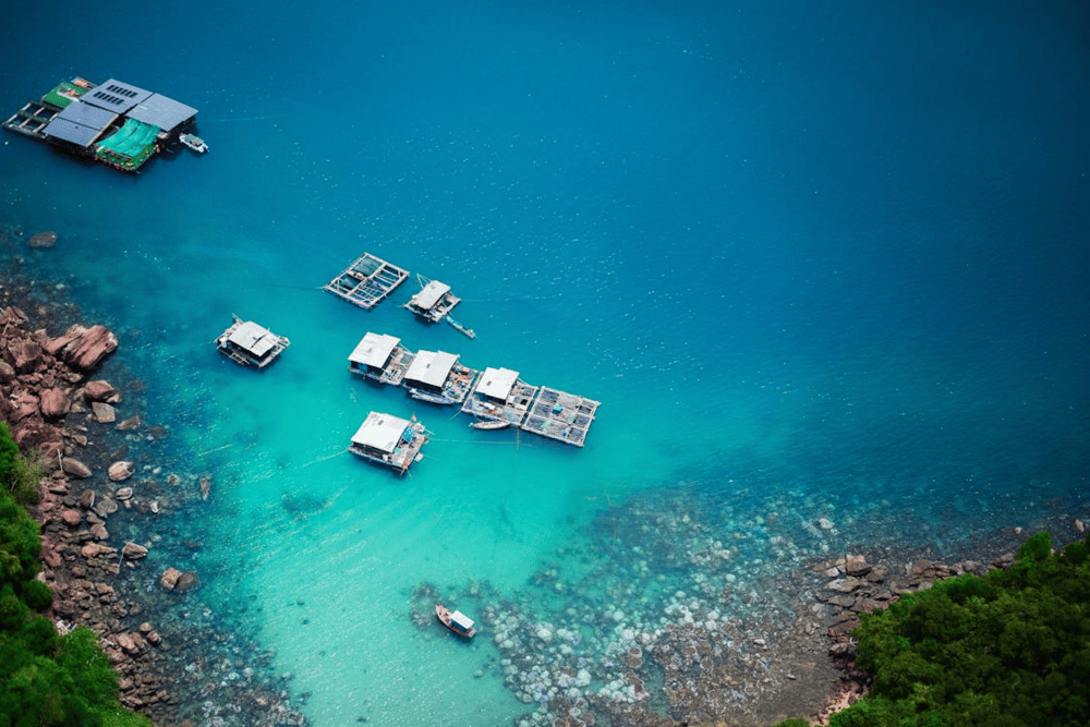 Travelers enjoy lower costs and fewer crowds but may face unpredictable weather during the rainy season (Source: Pexels)